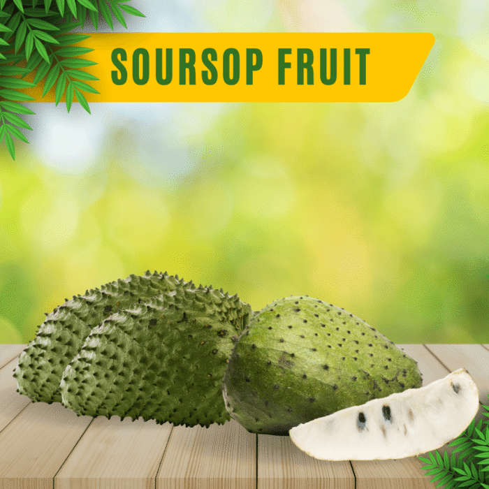 Soursop Fruit (Laxman Phal / Hanuman Phal- 1kg)