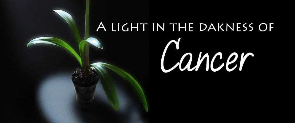 4 Steps to Help Prevent Cancer